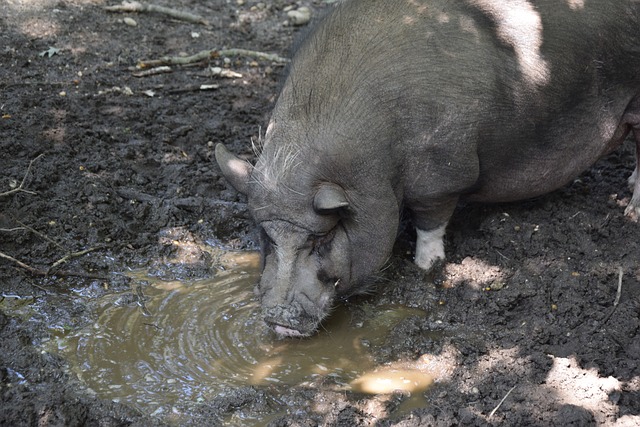 使得奖牌在 使得奖牌在