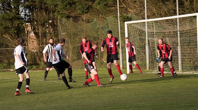 他们的出现 他们的出现