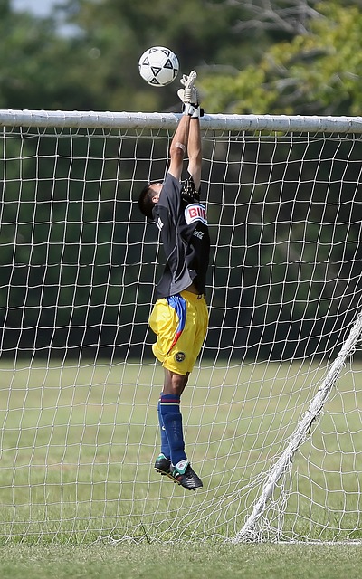 战术指导和 战术指导和