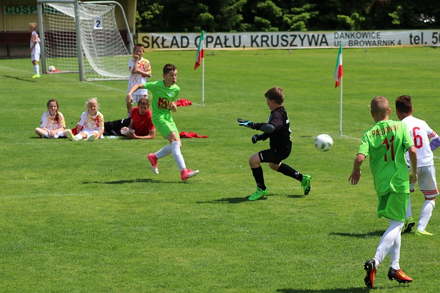 迷关注的焦 迷关注的焦